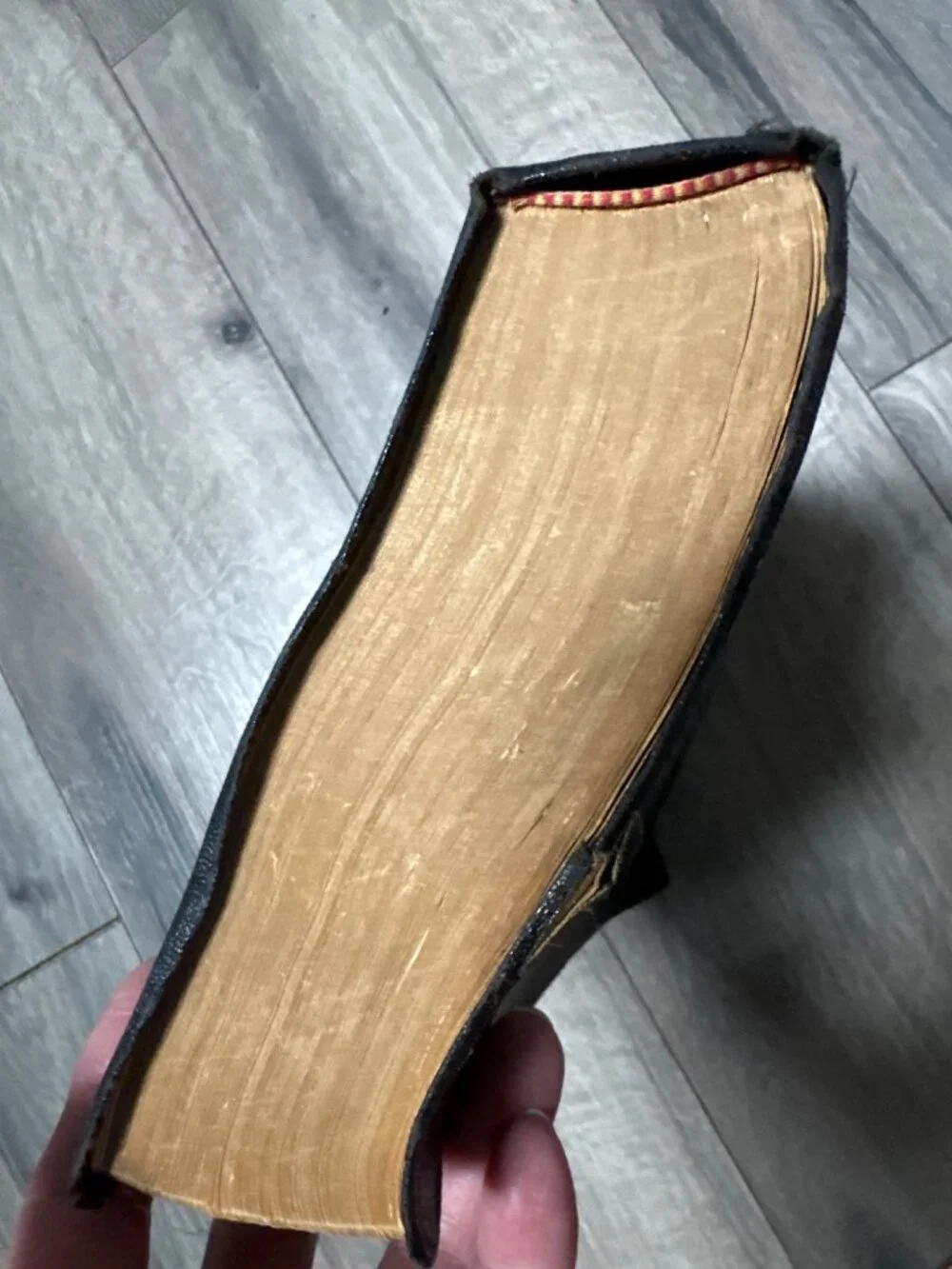 Holy Bible Giant Print King James Version World Outreach Edition Black Leatheret